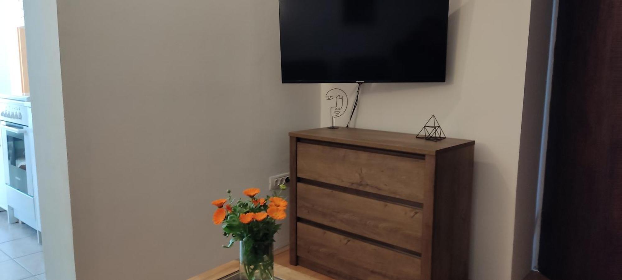 Apartment Rosa 2 罗维尼 外观 照片